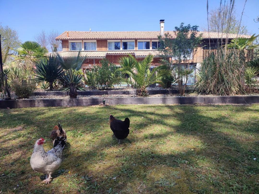 La Grange Oceane - Climatisation & Piscine Chauffee En Saison * Lege-Cap-Ferret